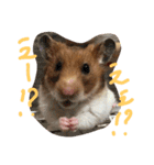 ハムスターのスナ（個別スタンプ：9）