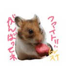 ハムスターのスナ（個別スタンプ：21）