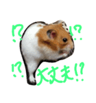ハムスターのスナ（個別スタンプ：24）