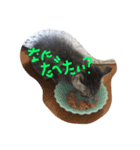 shironico2（個別スタンプ：3）