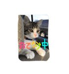 shironico2（個別スタンプ：6）