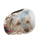 アトム＆イヴ（個別スタンプ：3）