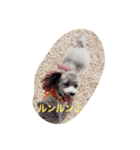 アトム＆イヴ（個別スタンプ：6）
