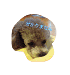 アトム＆イヴ（個別スタンプ：12）