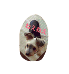 アトム＆イヴ（個別スタンプ：13）