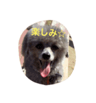 アトム＆イヴ（個別スタンプ：16）