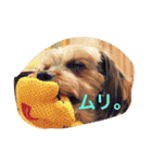 アトム＆イヴ（個別スタンプ：17）