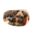 アトム＆イヴ（個別スタンプ：20）