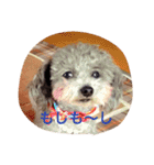 アトム＆イヴ（個別スタンプ：24）