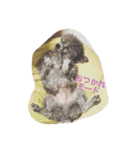 アトム＆イヴ（個別スタンプ：26）