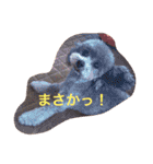 アトム＆イヴ（個別スタンプ：30）