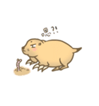 Fat Bo daily life（個別スタンプ：1）