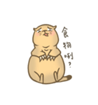 Fat Bo daily life（個別スタンプ：2）