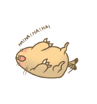 Fat Bo daily life（個別スタンプ：3）