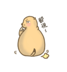 Fat Bo daily life（個別スタンプ：7）