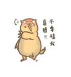 Fat Bo daily life（個別スタンプ：13）