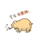 Fat Bo daily life（個別スタンプ：14）