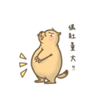 Fat Bo daily life（個別スタンプ：19）