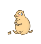 Fat Bo daily life（個別スタンプ：24）