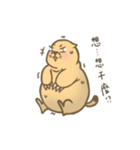 Fat Bo daily life（個別スタンプ：26）