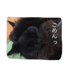 yuzuchil（個別スタンプ：7）