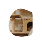 臆病者のツンデレライくん（個別スタンプ：3）
