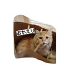 臆病者のツンデレライくん（個別スタンプ：4）