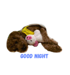 pokky kun（個別スタンプ：4）