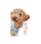 pokky kun（個別スタンプ：6）