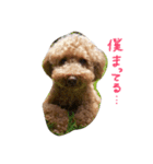 pokky kun（個別スタンプ：7）