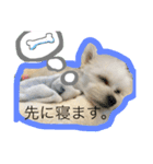 へいちゃんのスタンプ（個別スタンプ：1）