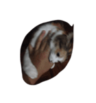 meemeethv2（個別スタンプ：8）