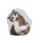 meemeethv2（個別スタンプ：9）