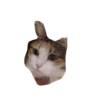 meemeeth（個別スタンプ：2）