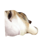 meemeeth（個別スタンプ：6）