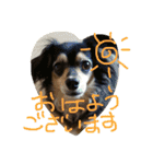 リリちゃんの日常（個別スタンプ：1）