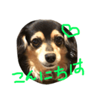 リリちゃんの日常（個別スタンプ：2）
