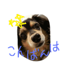 リリちゃんの日常（個別スタンプ：3）