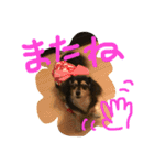 リリちゃんの日常（個別スタンプ：5）