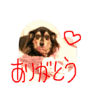 リリちゃんの日常（個別スタンプ：7）