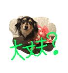 リリちゃんの日常（個別スタンプ：14）