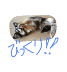 リリちゃんの日常（個別スタンプ：17）