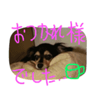 リリちゃんの日常（個別スタンプ：19）