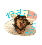 リリちゃんの日常（個別スタンプ：21）