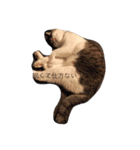 ねこ挨拶（個別スタンプ：2）