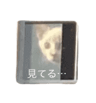植村こむぎ（個別スタンプ：21）