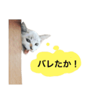 植村こむぎ（個別スタンプ：22）