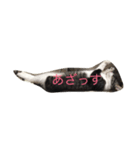 実家の猫（個別スタンプ：4）