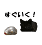 黒猫 シャケ（個別スタンプ：12）