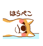小梅丸スタンプvol.1（個別スタンプ：7）